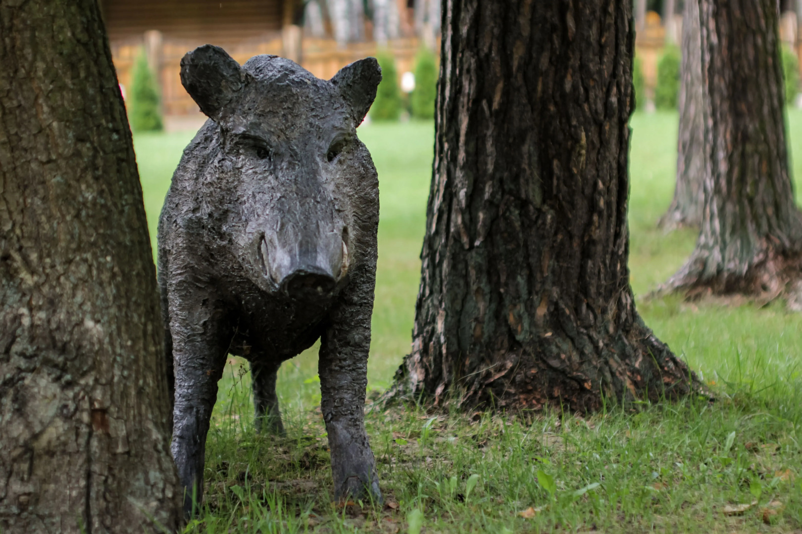 Отель Парк-отель Золотой желудь