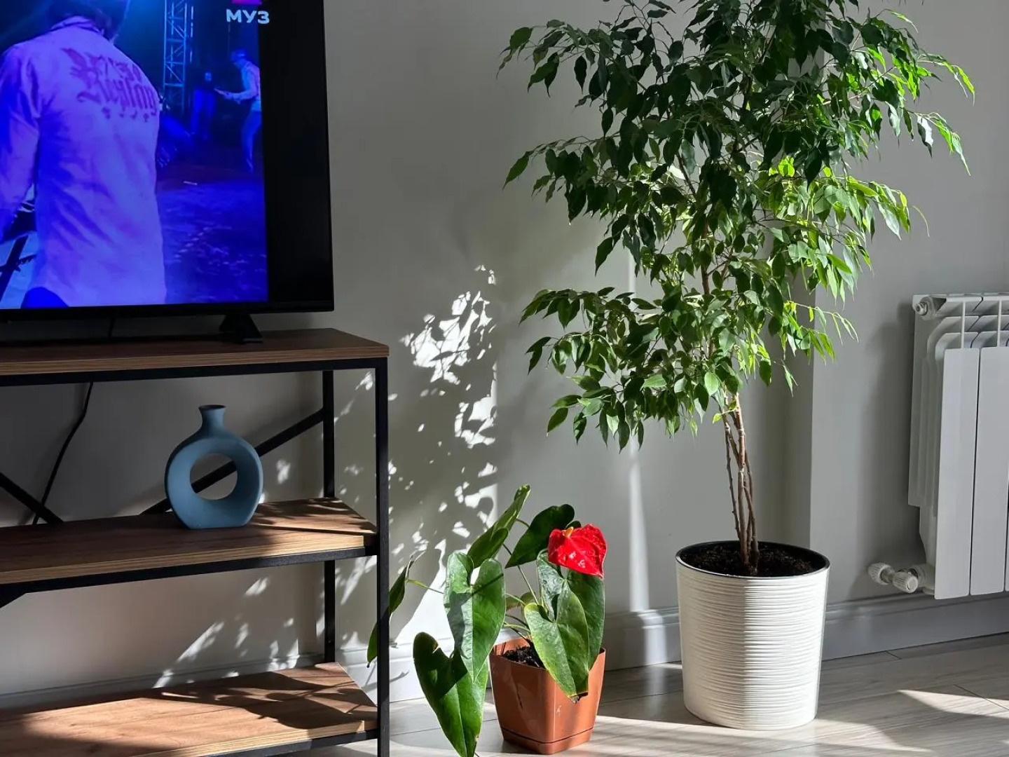 Апартаменты Квартира у моря