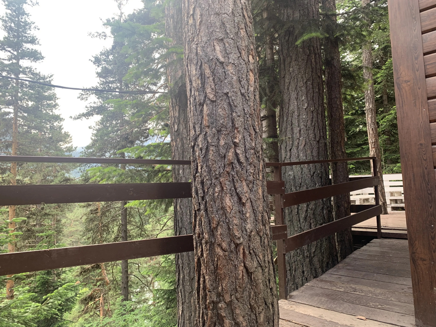 База отдыха Solur