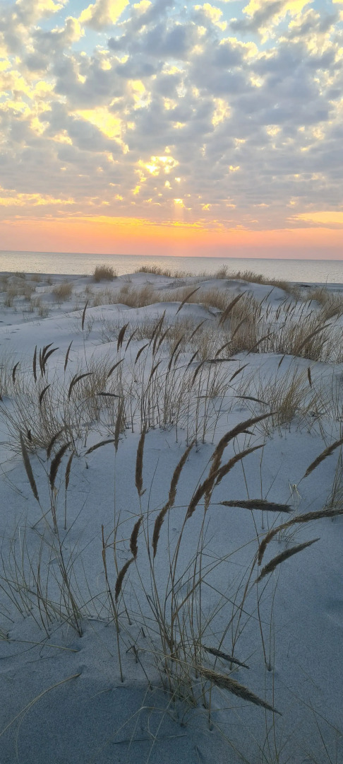 Квартира Элитная в ЖК Морской с видом на море