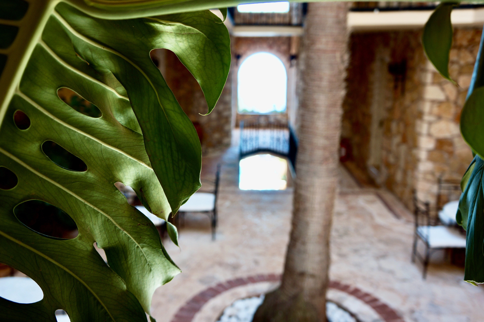 Отель Villa Tamara