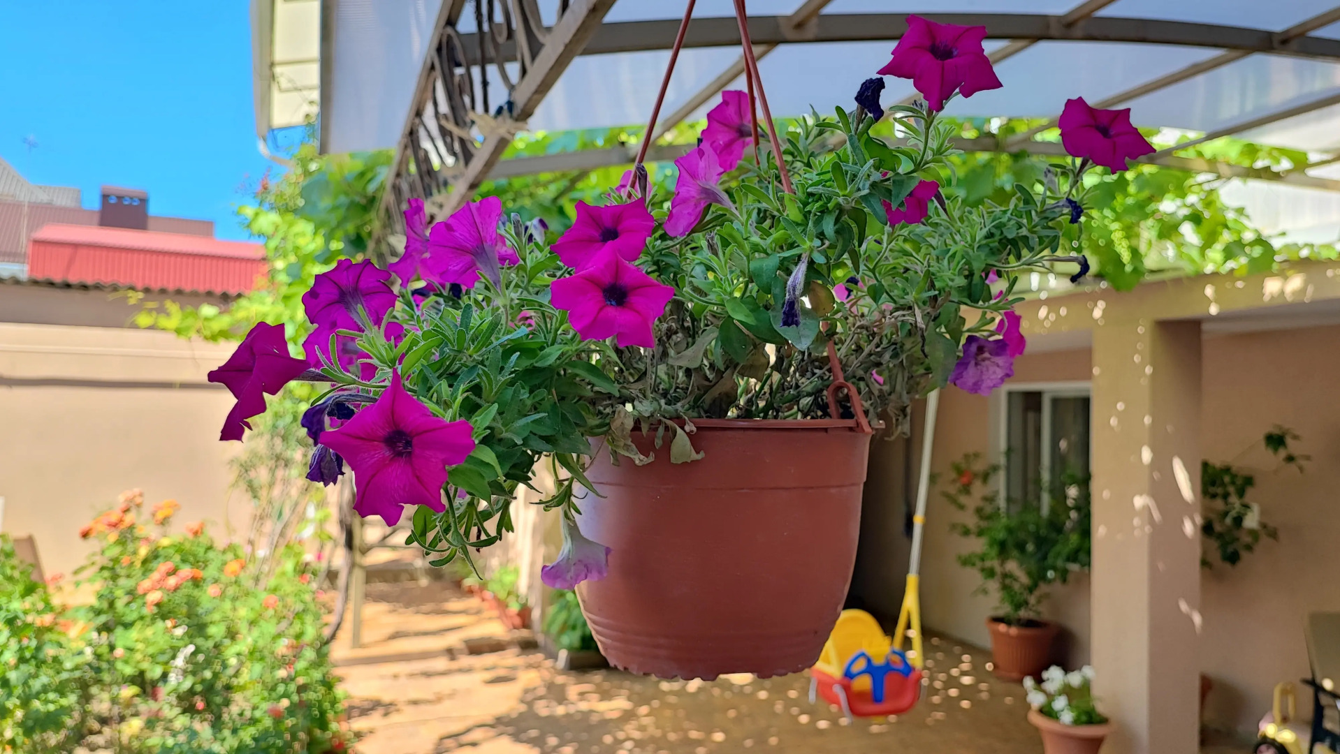 Гостевой дом Светлана