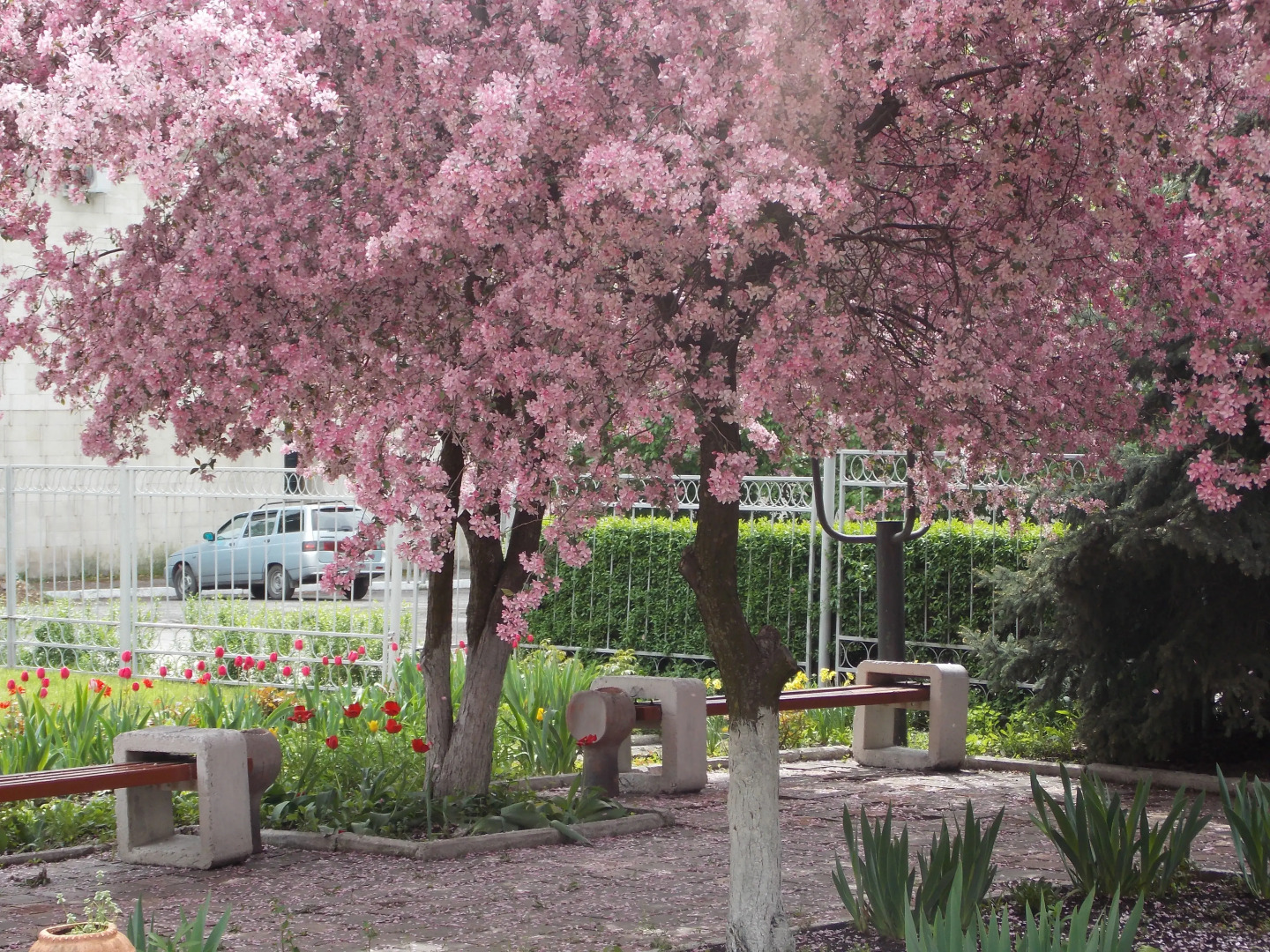 Отель Кузбасс