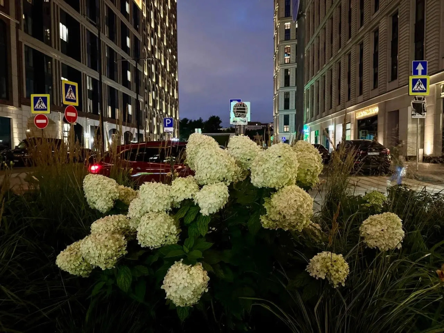 Апартаменты Comfort & Relax Home in Silver fountain 1