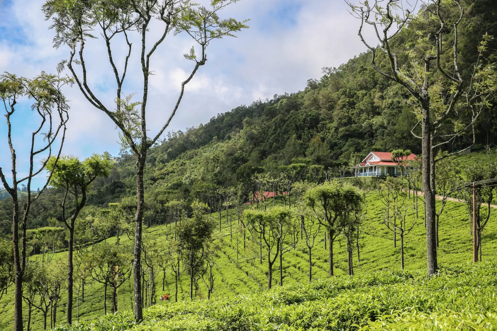 Вилла Farview Mountain Resort