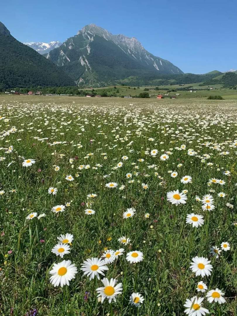 Частный дом Райский уголок среди гор и альпийских лугов