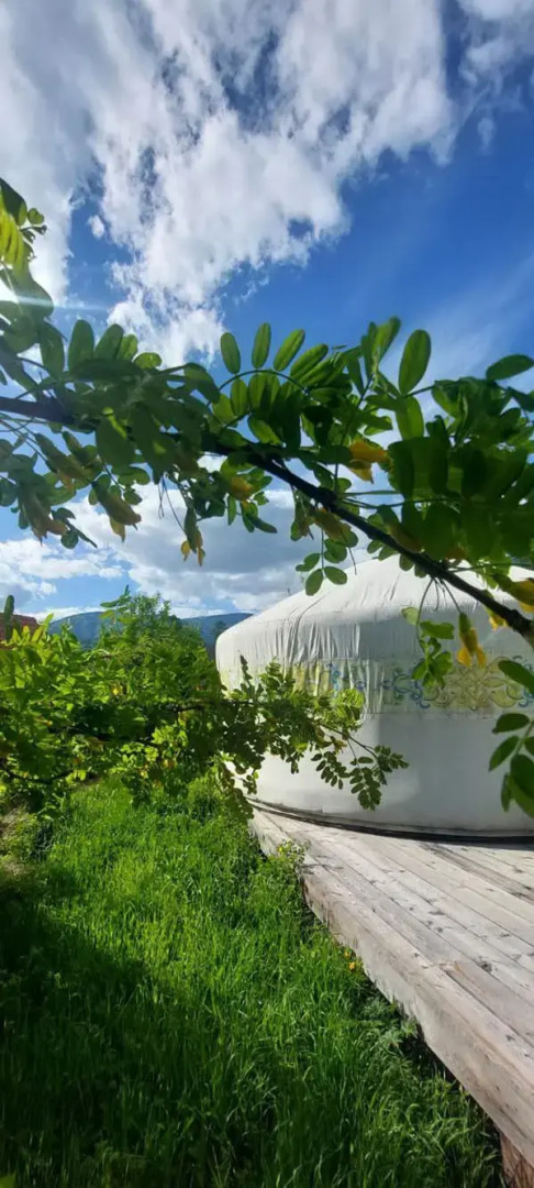 База отдыха Алтайская Роза