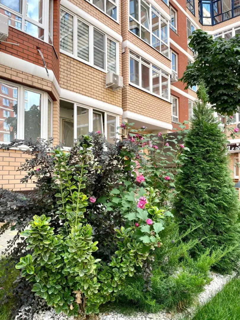 Квартира "Билет в Париж" рядом с парком Галицкого. Сеть Мята