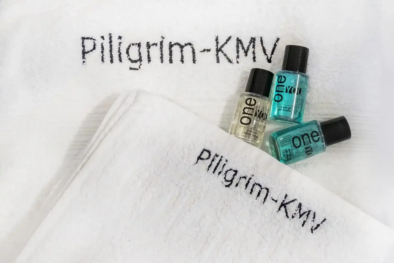 Квартира класса Комфорт в центре спальня + гостиная от Piligrim-KMV