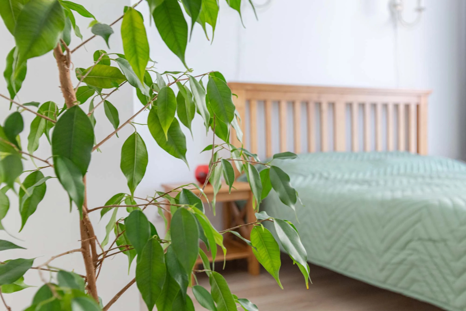 Апартаменты ЖК Жулебино парк