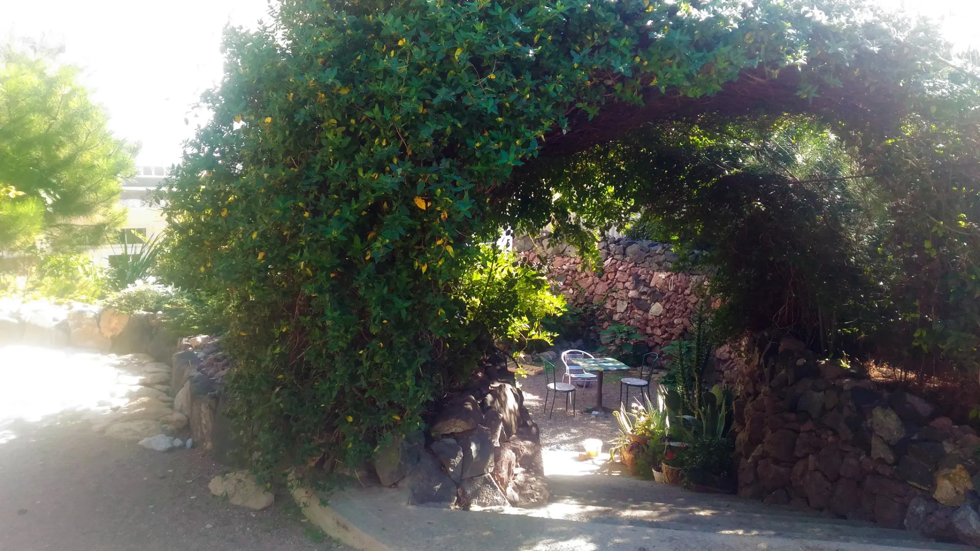 Гостевой Дом Адель Николаевка Крым