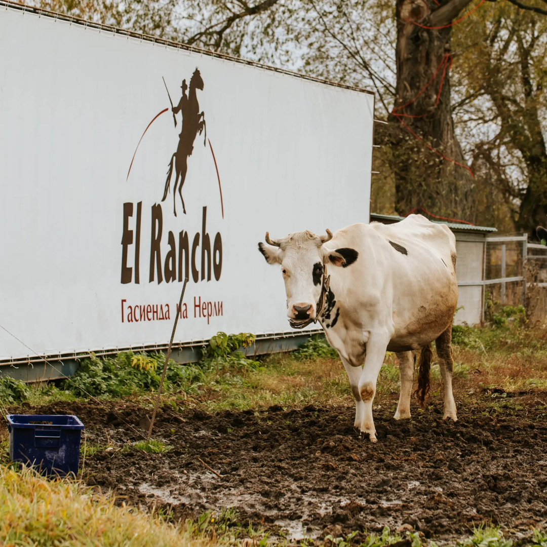 База отдыха Агротуристический комплекс Эль Ранчо
