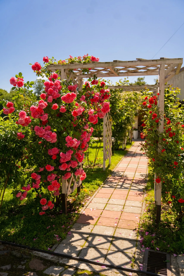 Гостевой дом Тихая Гавань