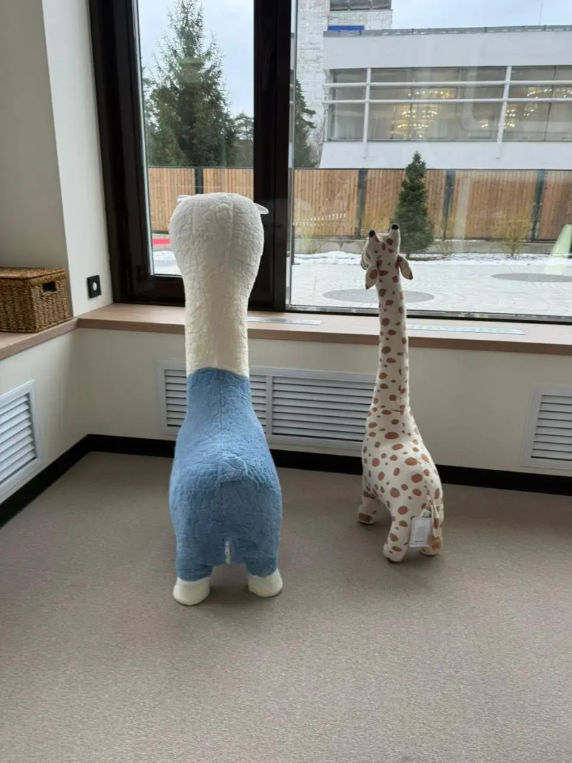 Апартаменты 1-комнатные апартаменты у моря