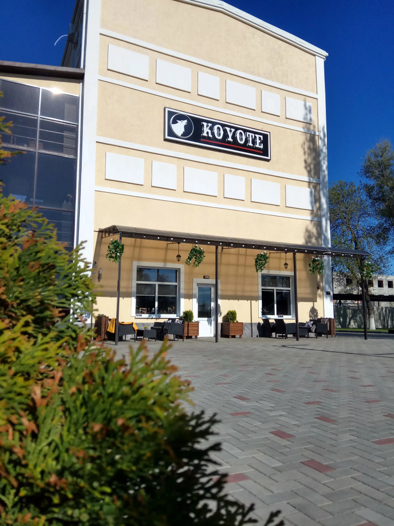 Мини-отель Мотель Koyote ИП Кылчик Д.П.