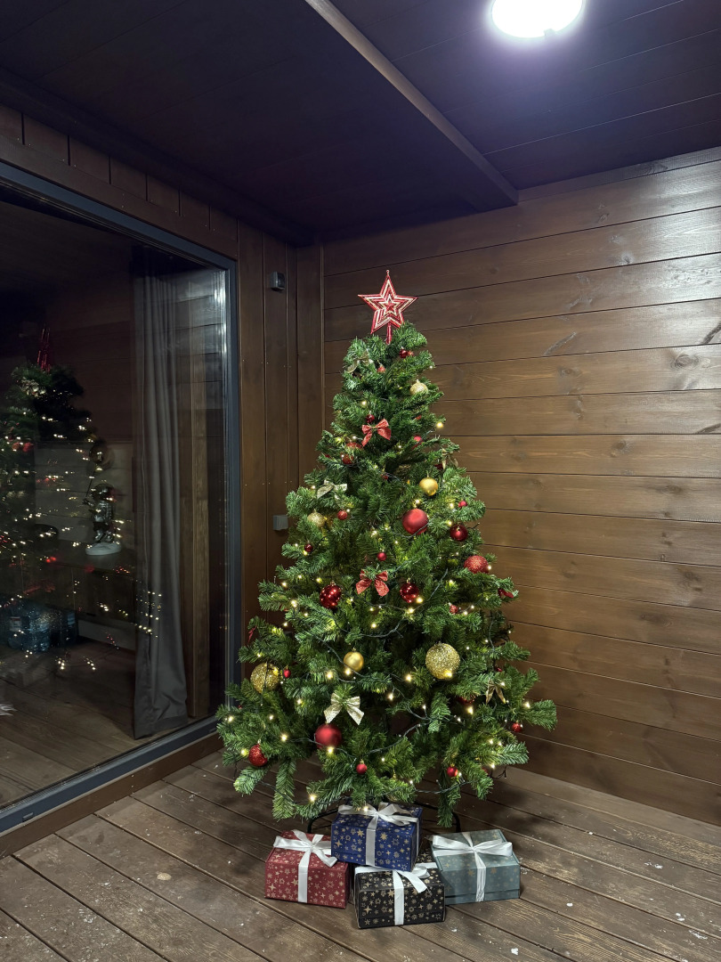 Апартаменты NS house