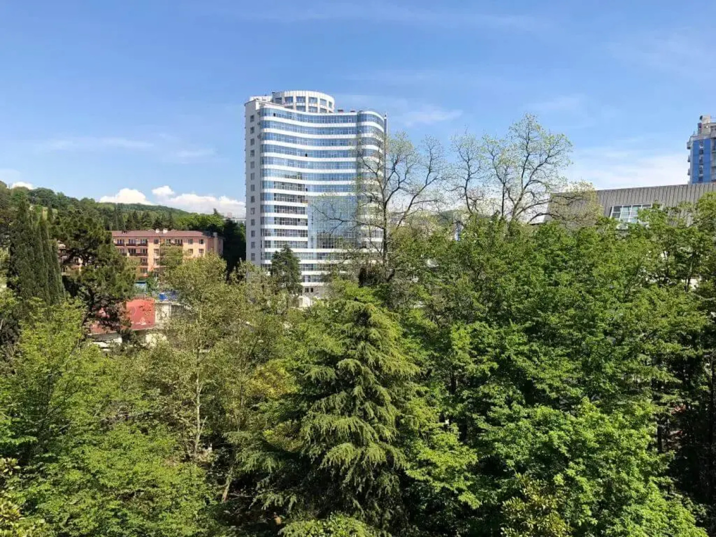 Апартаменты Светлана-Центр у моря с видом на сад магнолий