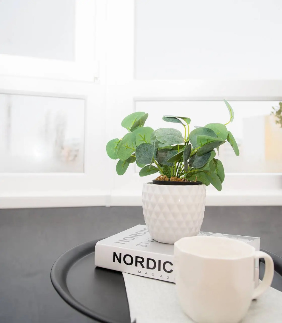 Апартаменты Люкс класса Терракотовый Оазис