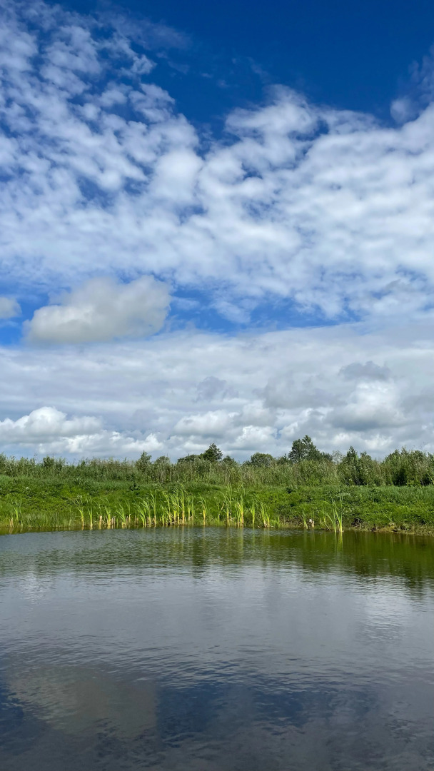 Гостевой дом Хутор Неттникен