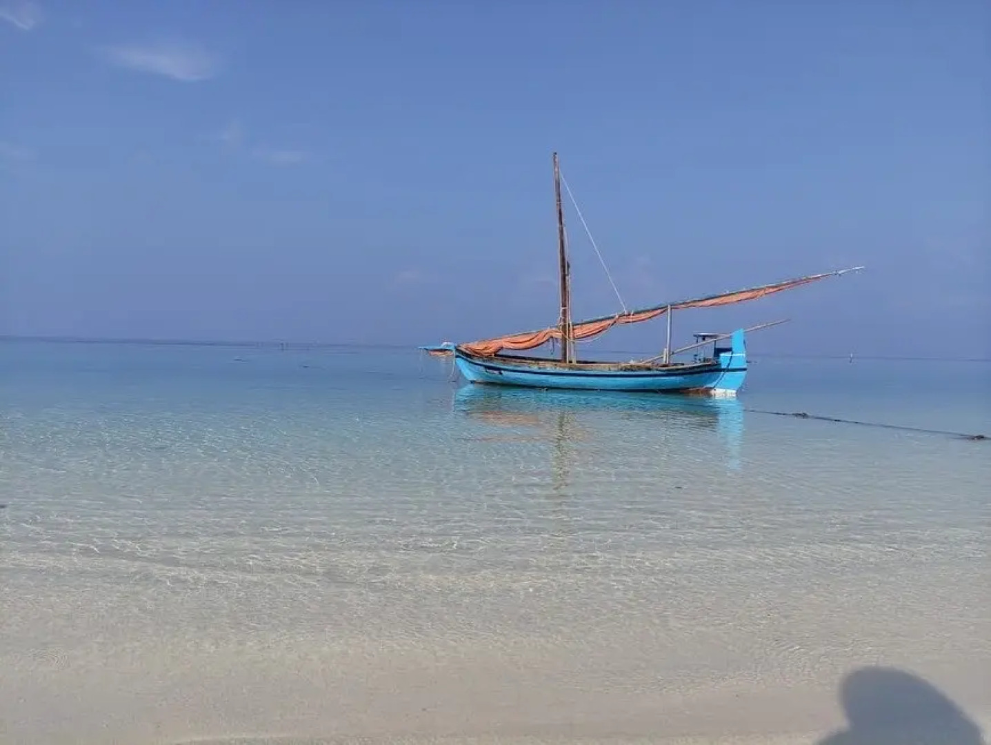 Отель Ocean Lilly Inn