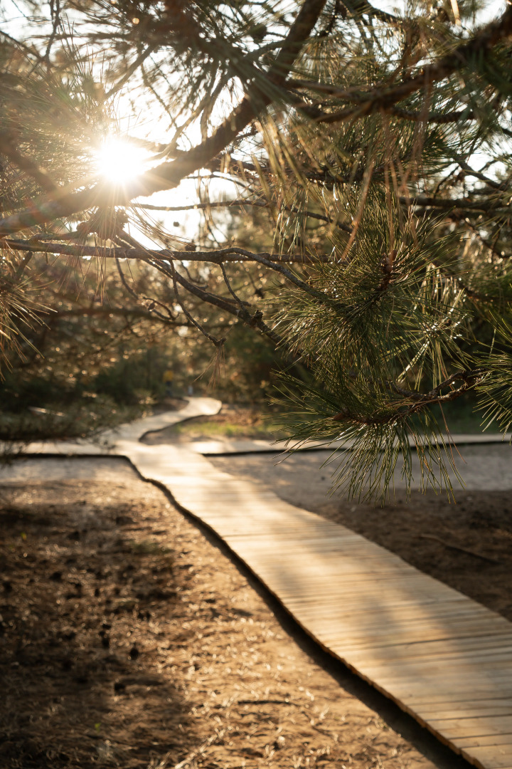 Глэмпинг Синий Яр