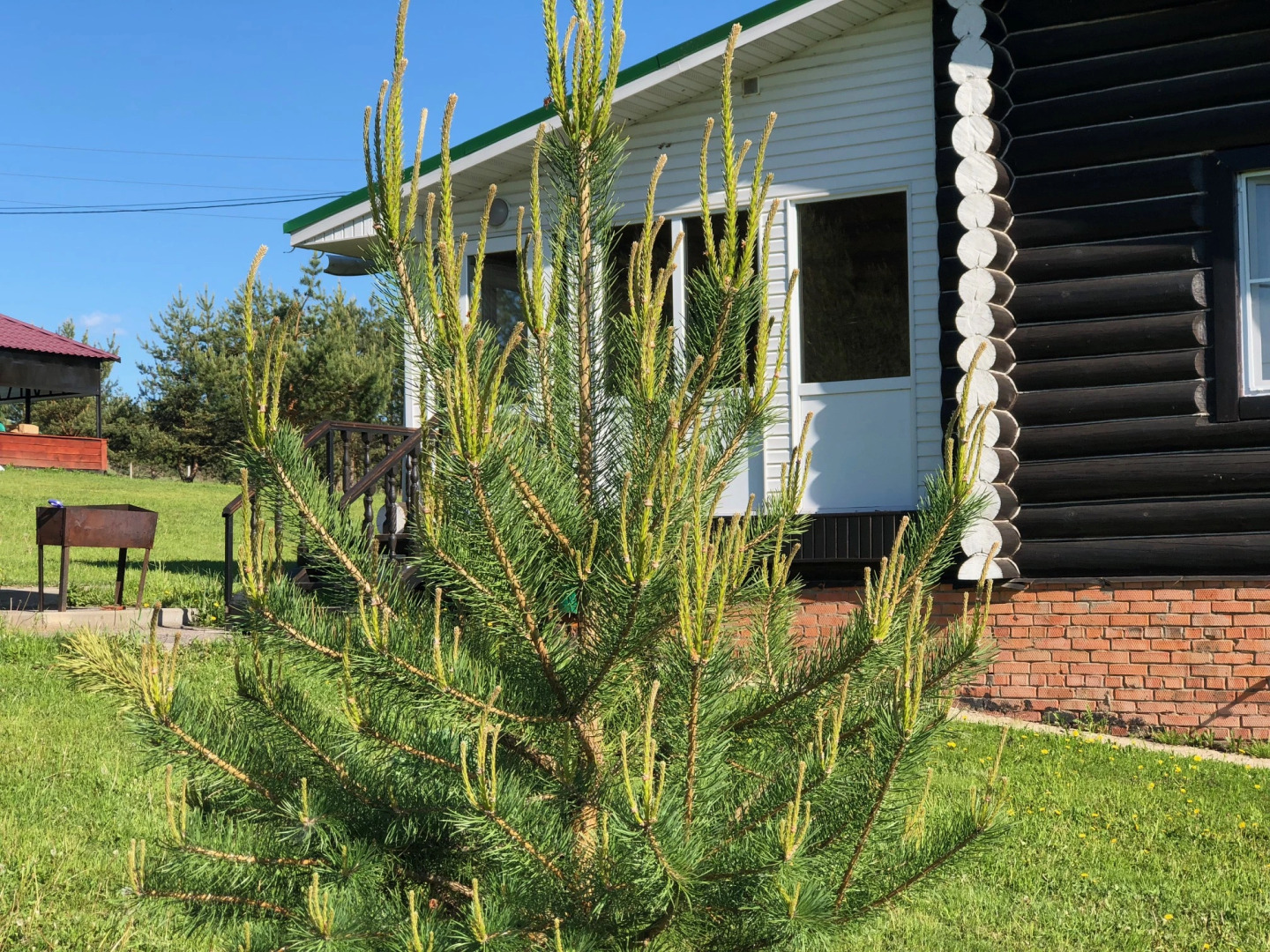 Отель Загородный Лежневская Лагуна