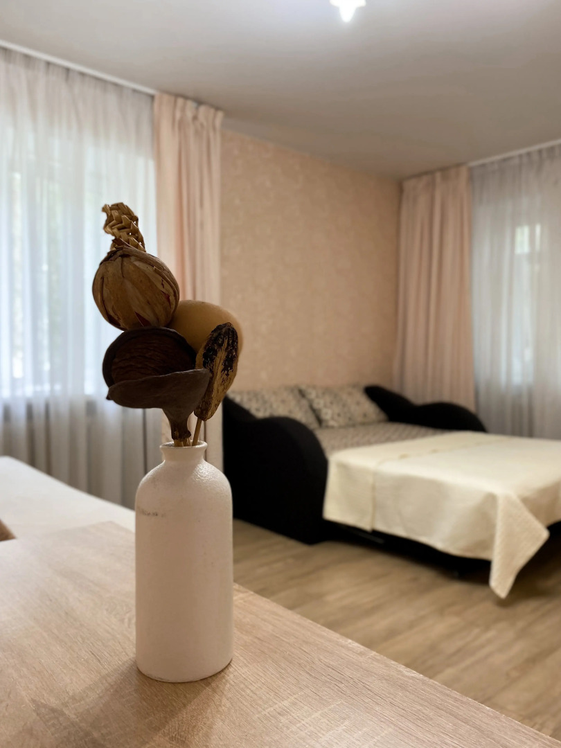 Апартаменты Квартира у ДС Торпедо на Чкалова