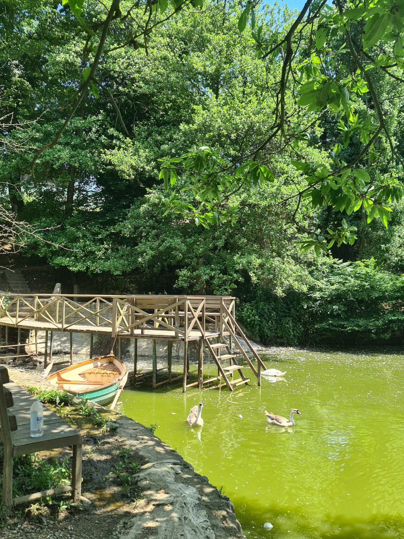 Polonezköy Country Club & Accommodation in the Wildlife Park