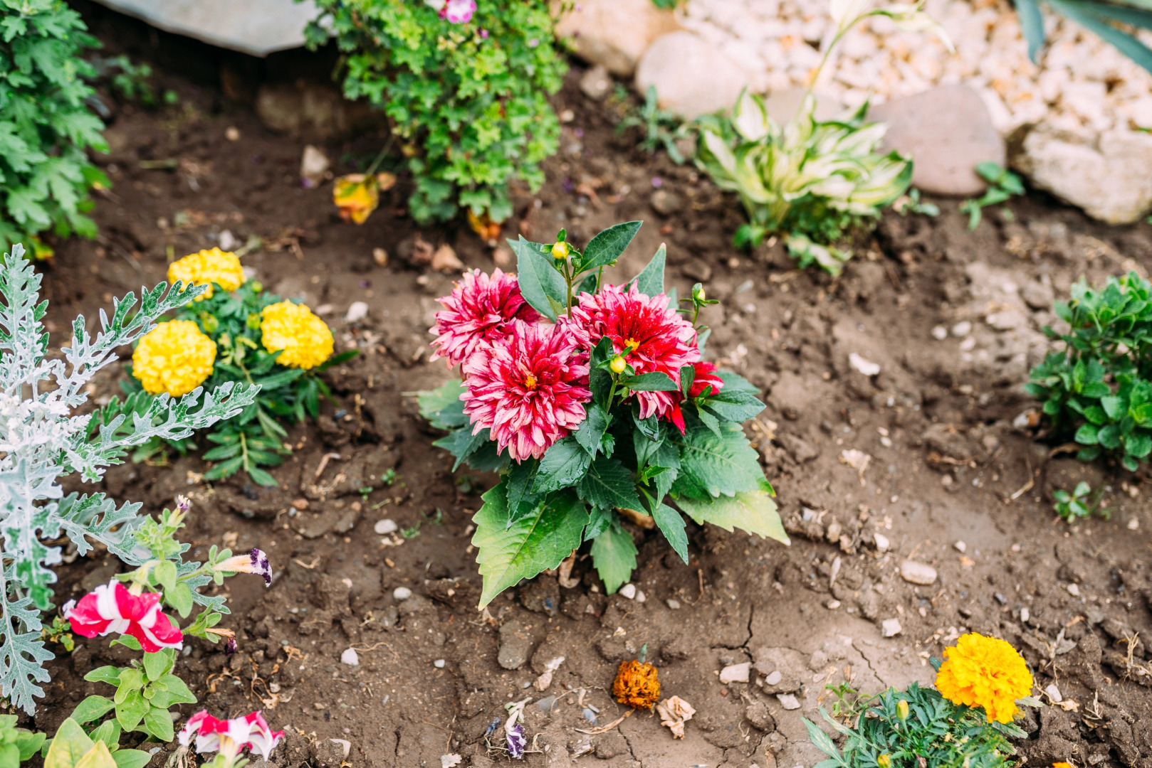 Гостевой дом Камменка