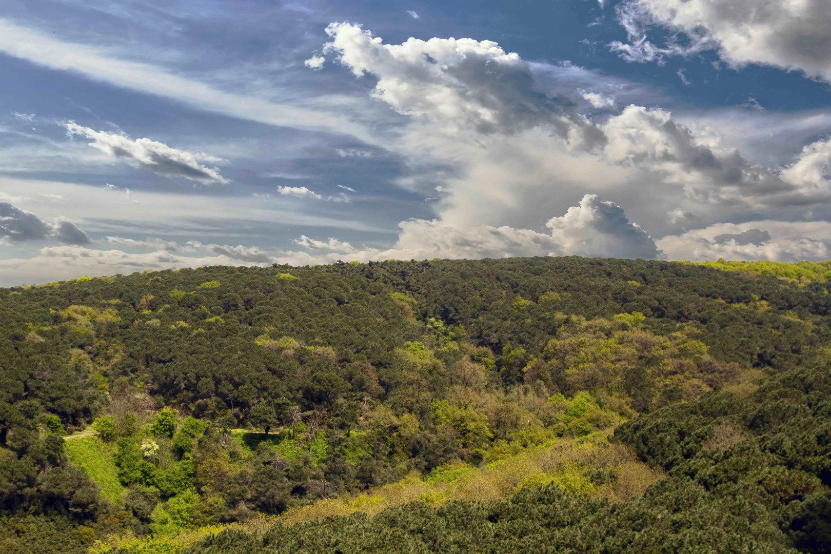 Апарт-отель Maslak Aparts