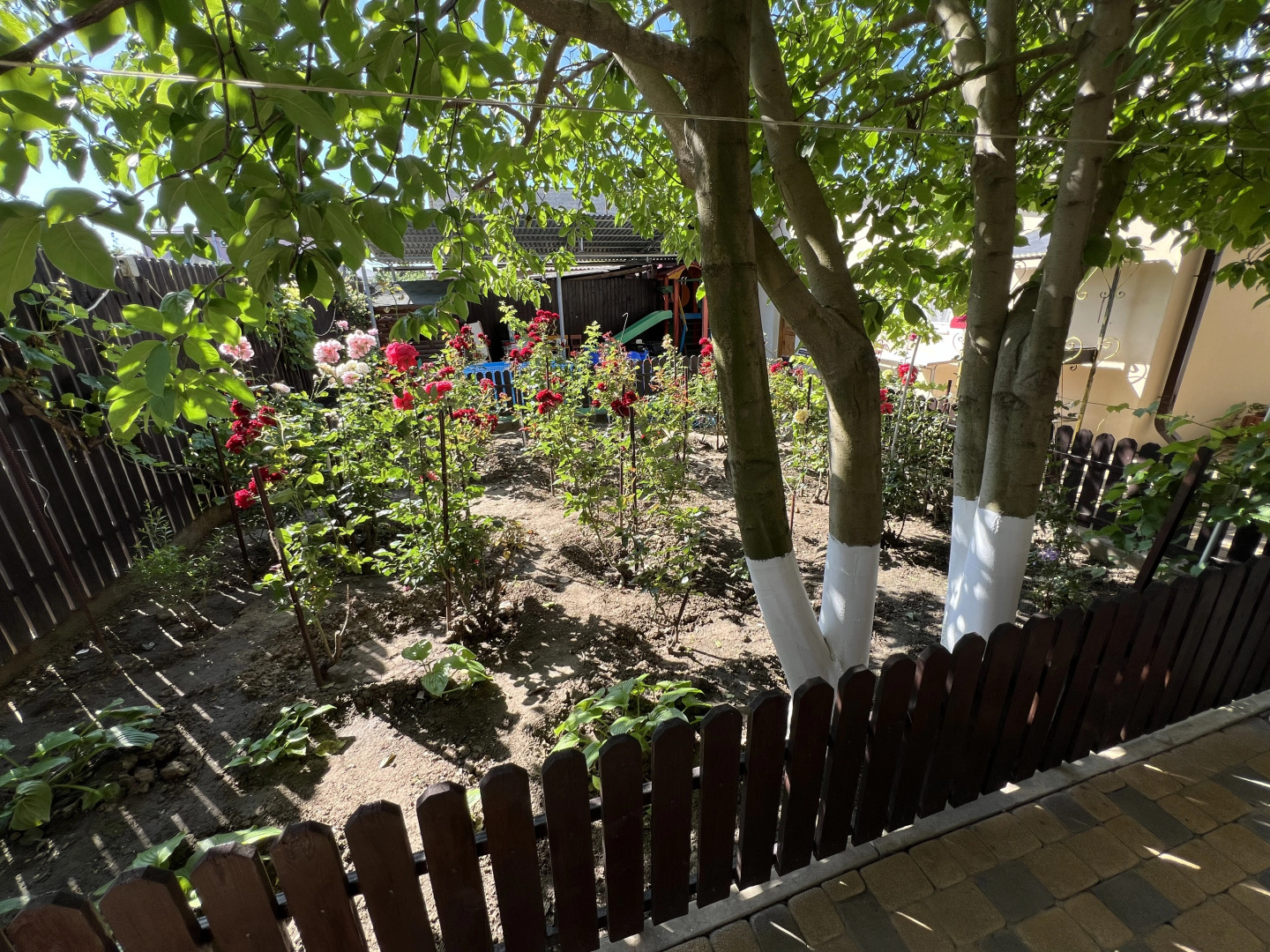 Guest House Orhideya