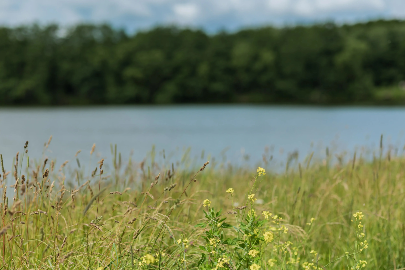 Глэмпинг Катин клёв