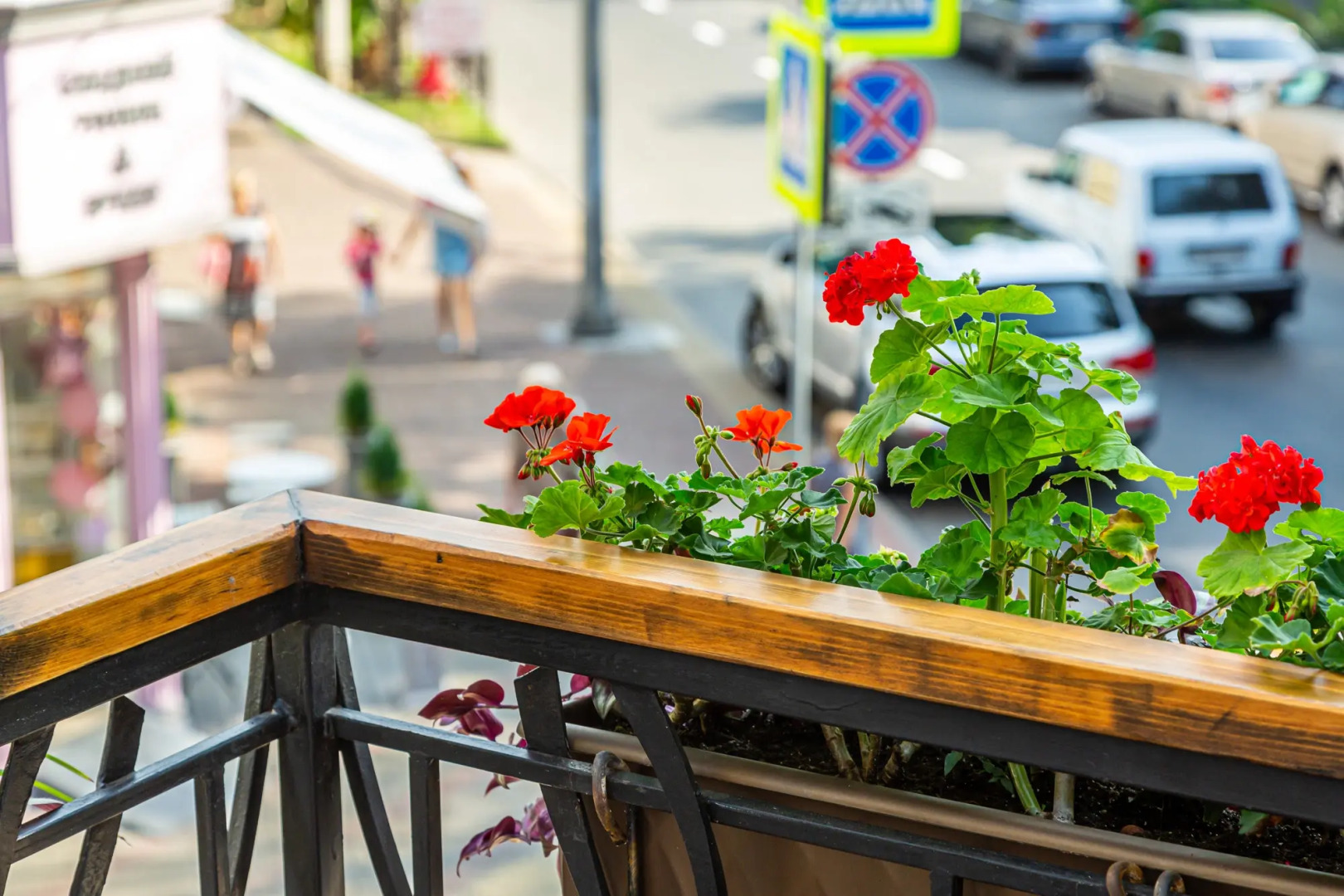 Апартаменты M1C Люкс