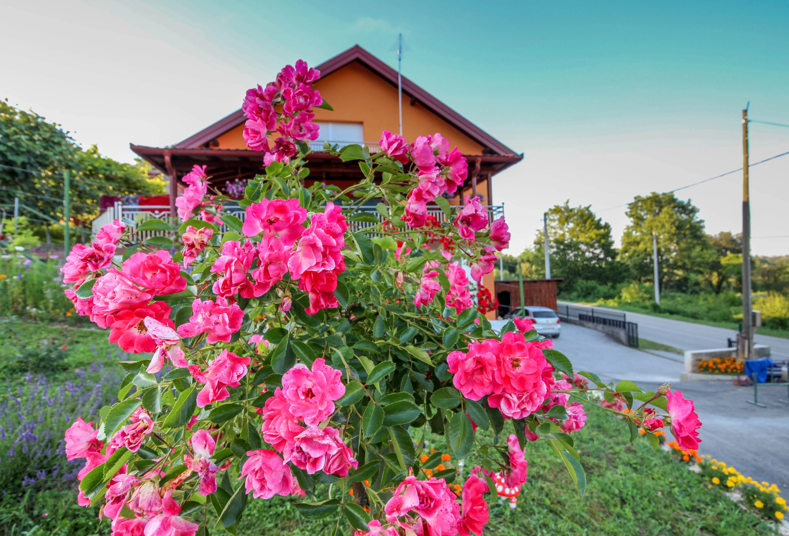 Апартаменты Dimac Topusko