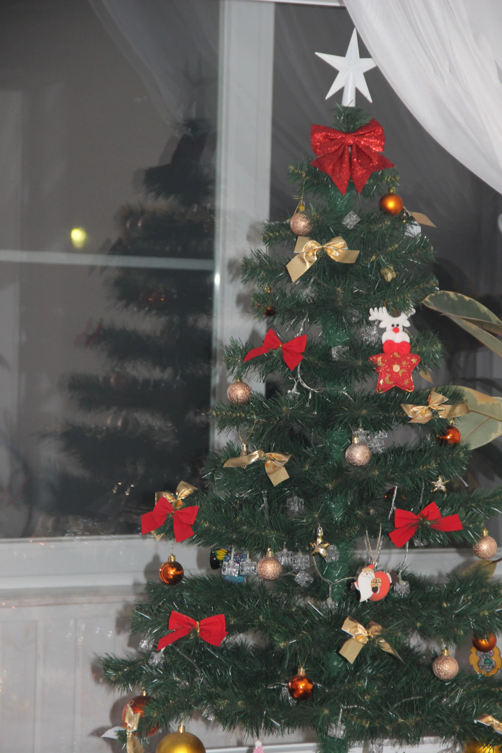 Апартаменты Студия