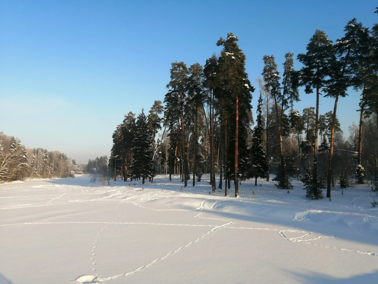 Частный дом в Заветах Ильича с голубой гостиной
