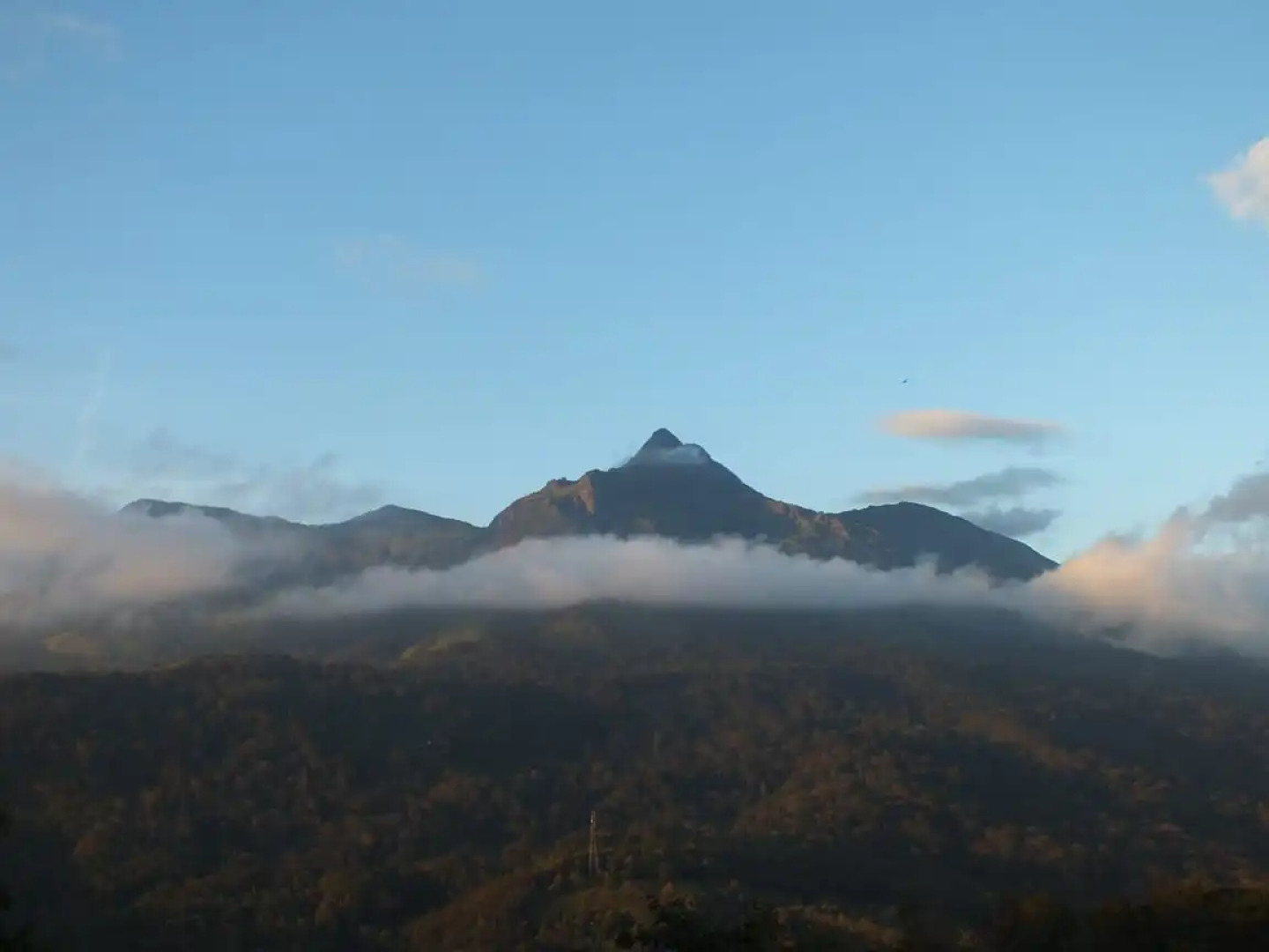 Отель Camellia and Elettaria the Twin Resorts