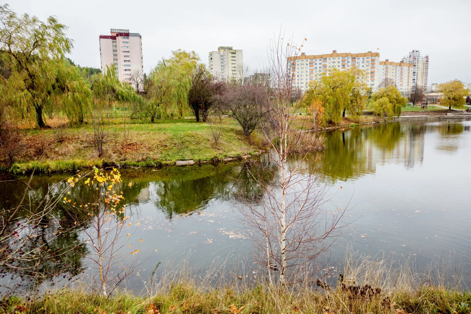 Апартаменты на берегу Цнянского водохранилища