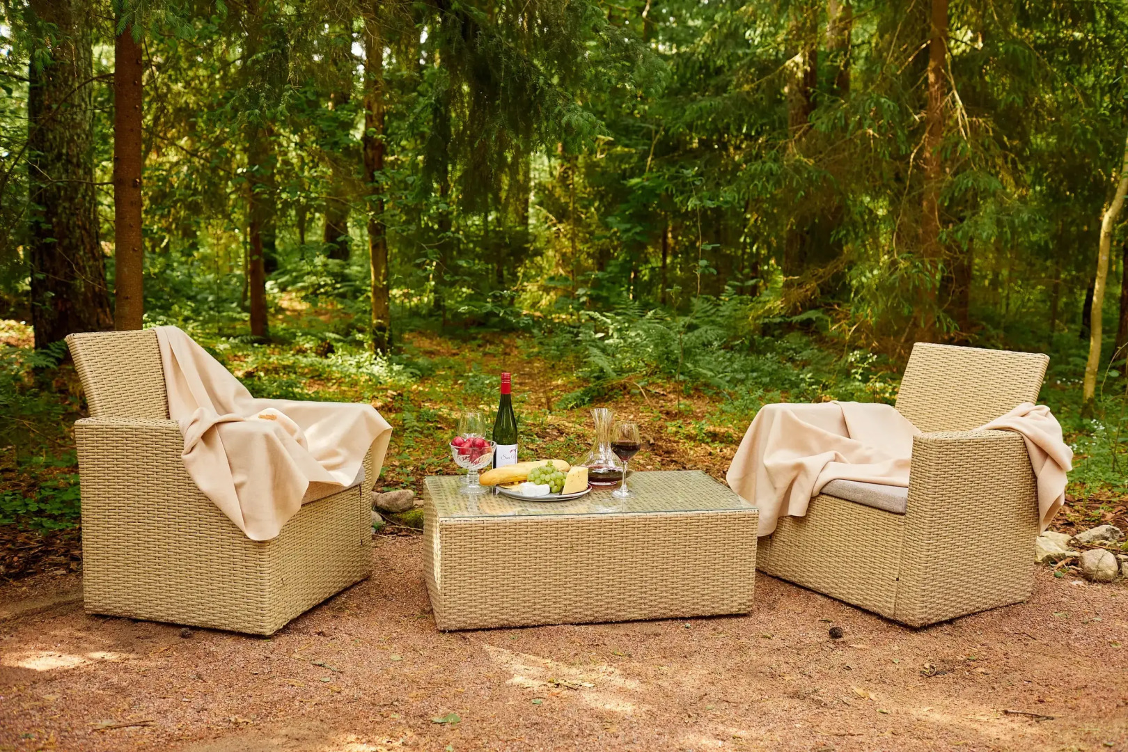 Частный дом Репинская дача на опушке красивого леса