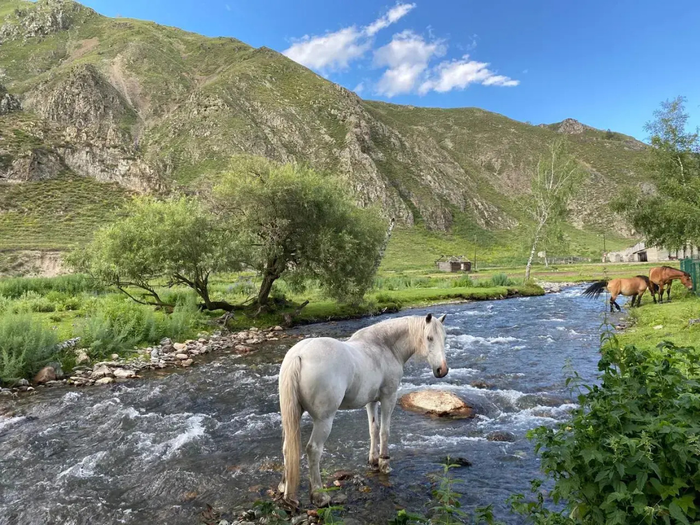 Гостевой дом Эдиган