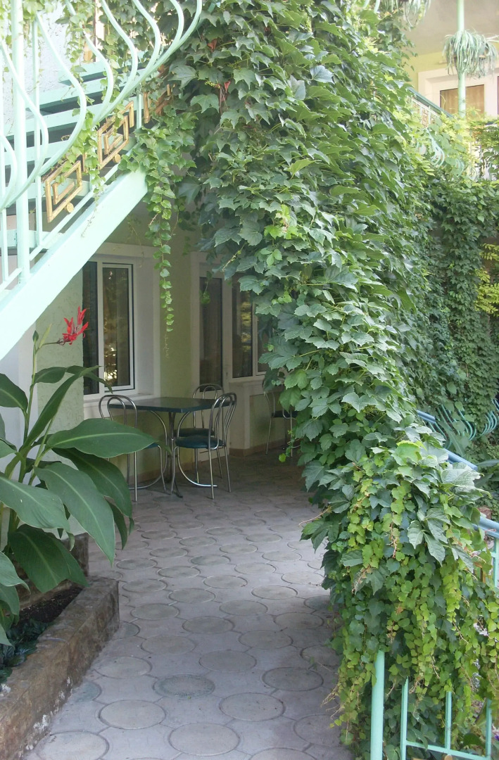 Меблированные комнаты Изумрудный