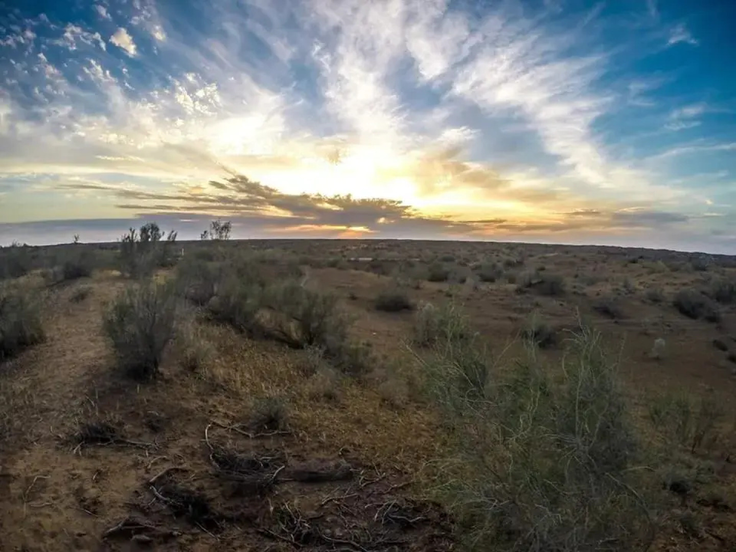Кемпинг Yurt Camp Aidar