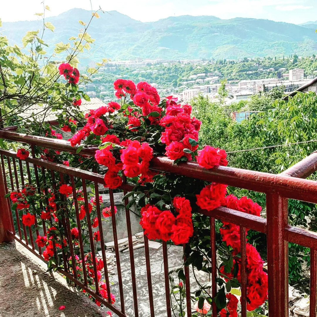 Гостевой дом Guesthouse Anahit Ijevan
