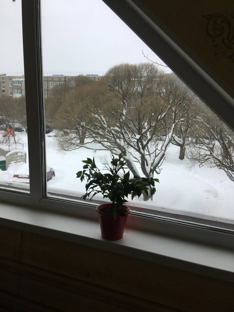 Апартаменты ЛОФТ