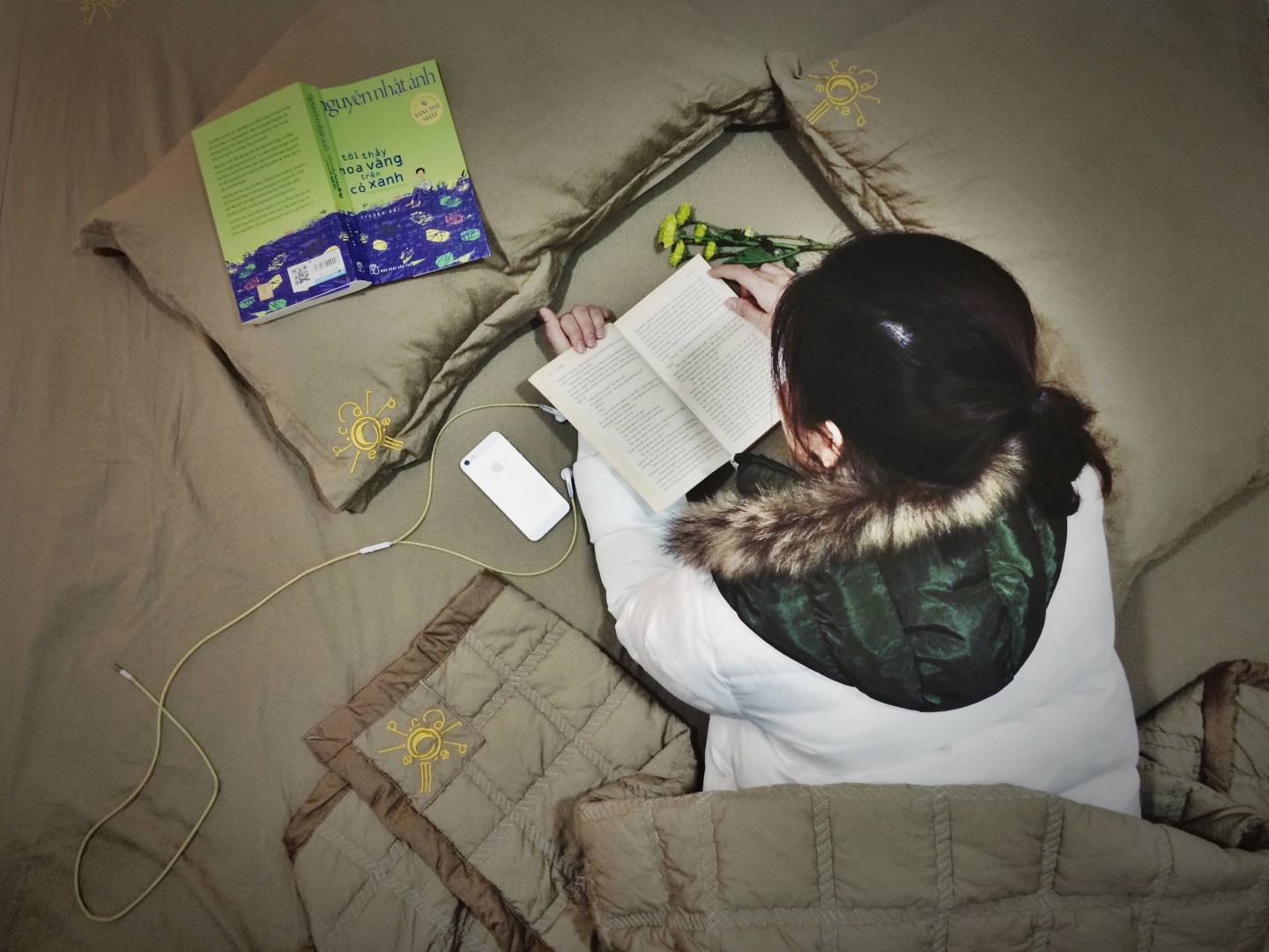 Хостел Carpe Diem Inn Da Nang