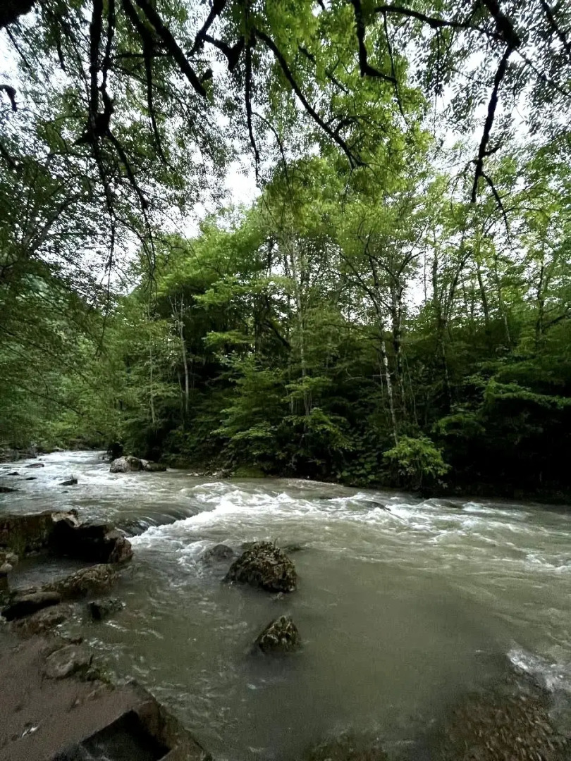 Частный дом Grey House - Частный дом