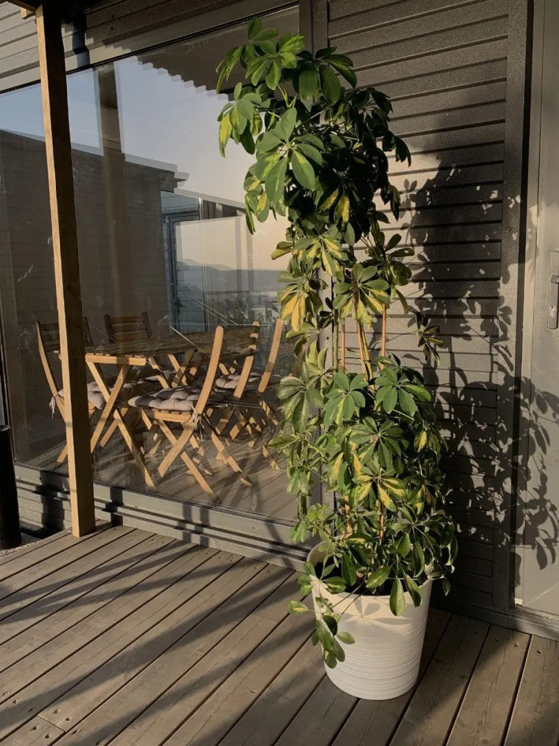 База отдыха Серый дом