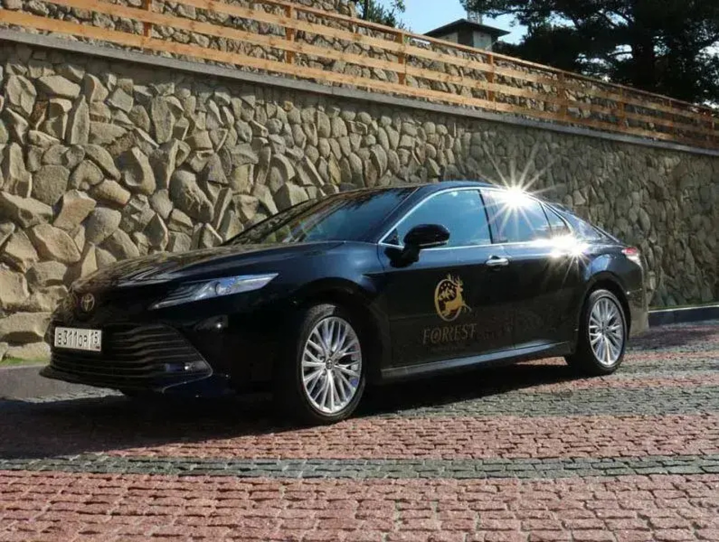 Отель Forrest Terrace