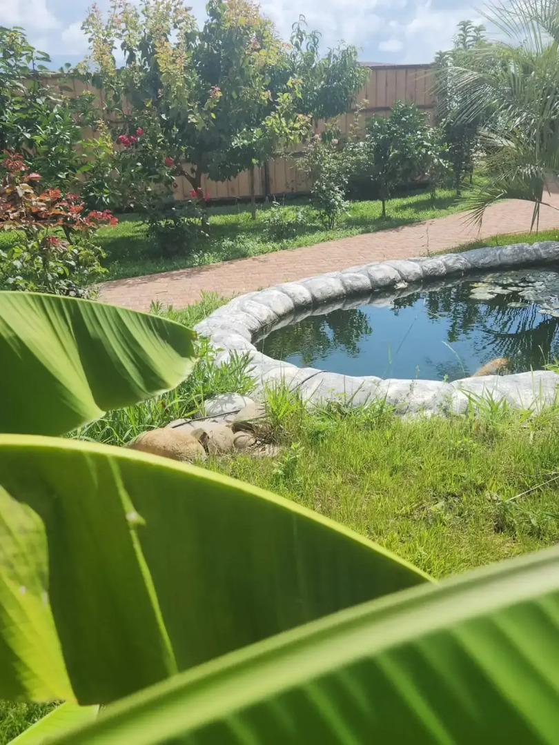 Апартаменты в Сириусе с видом на море и Олимпийский парк