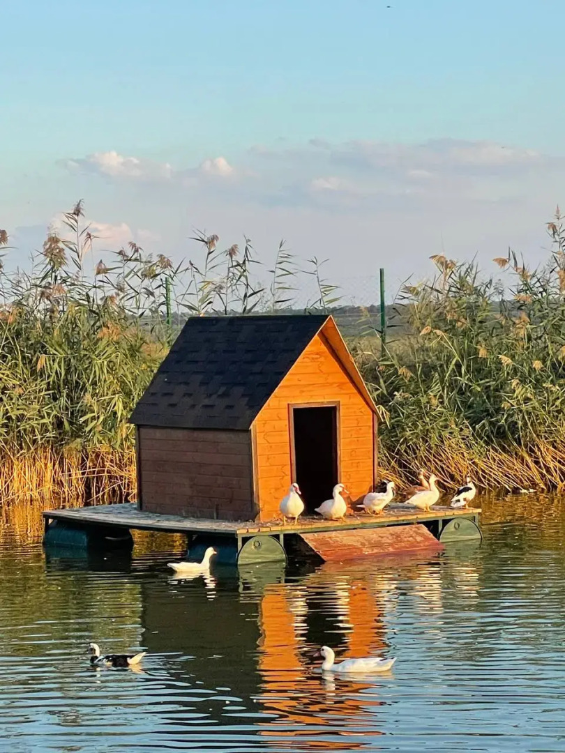 База Отдыха Экопарк Великокняжеский Остров